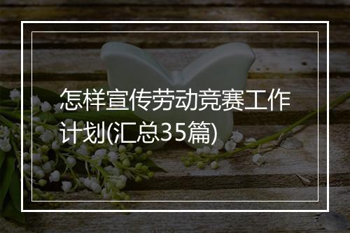 怎样宣传劳动竞赛工作计划(汇总35篇)