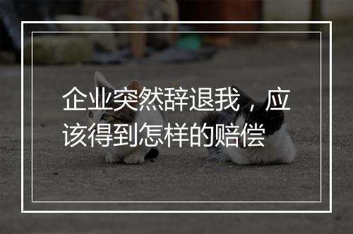 企业突然辞退我，应该得到怎样的赔偿