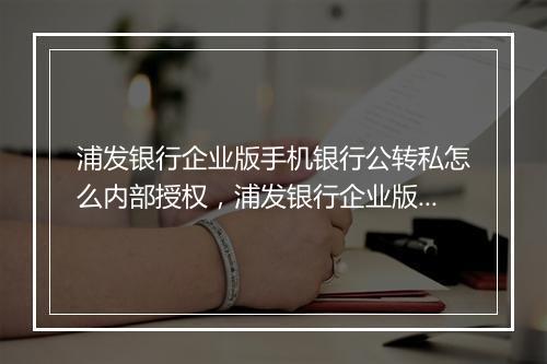 浦发银行企业版手机银行公转私怎么内部授权，浦发银行企业版手机银行