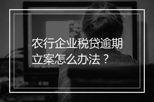 农行企业税贷逾期立案怎么办法？