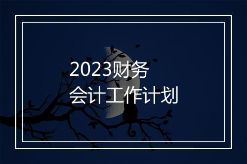 2023财务会计工作计划