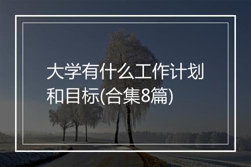 大学有什么工作计划和目标(合集8篇)