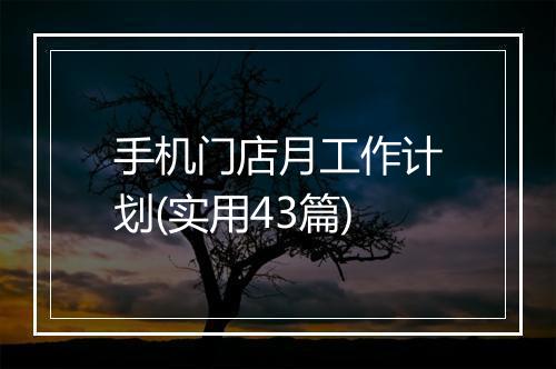 手机门店月工作计划(实用43篇)