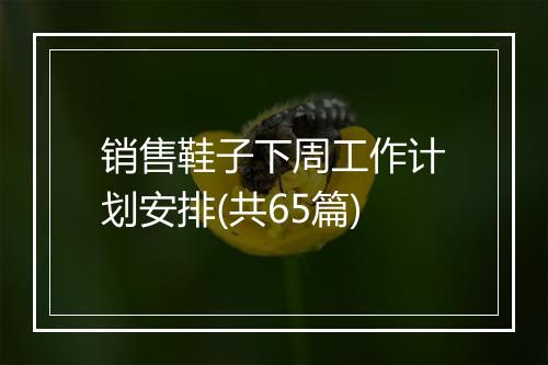 销售鞋子下周工作计划安排(共65篇)