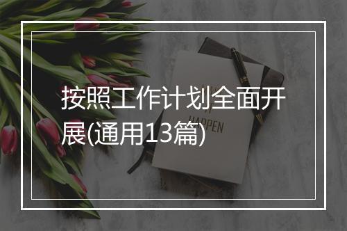 按照工作计划全面开展(通用13篇)