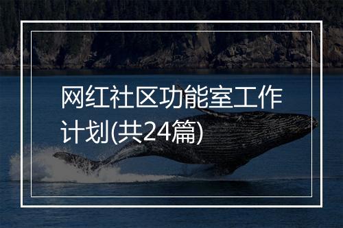网红社区功能室工作计划(共24篇)