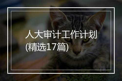 人大审计工作计划(精选17篇)