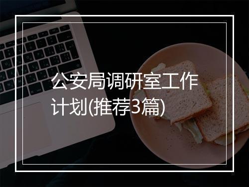 公安局调研室工作计划(推荐3篇)