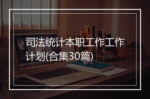 司法统计本职工作工作计划(合集30篇)