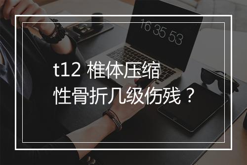 t12 椎体压缩性骨折几级伤残？