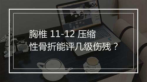 胸椎 11-12 压缩性骨折能评几级伤残？