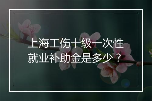 上海工伤十级一次性就业补助金是多少？