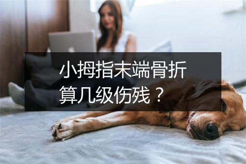 小拇指末端骨折算几级伤残？