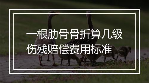一根肋骨骨折算几级伤残赔偿费用标准