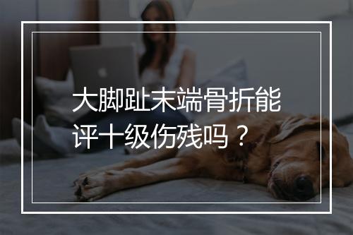 大脚趾末端骨折能评十级伤残吗？