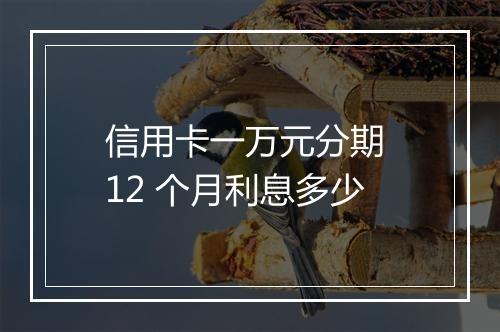 信用卡一万元分期 12 个月利息多少