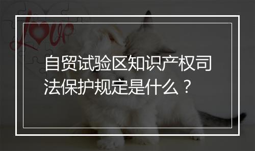 自贸试验区知识产权司法保护规定是什么？