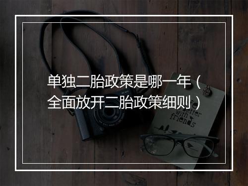 单独二胎政策是哪一年（全面放开二胎政策细则）