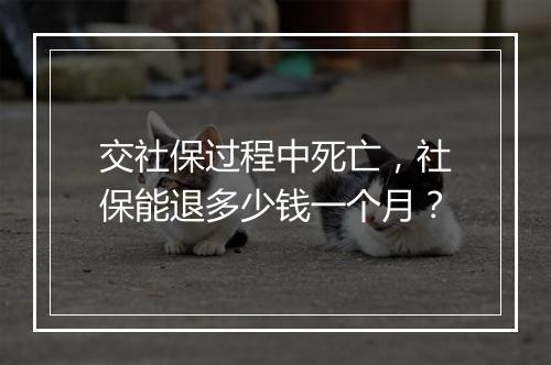 交社保过程中死亡，社保能退多少钱一个月？