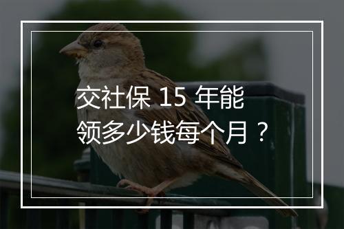 交社保 15 年能领多少钱每个月？