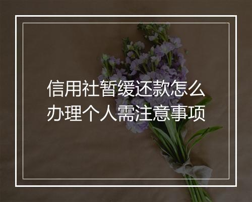 信用社暂缓还款怎么办理个人需注意事项