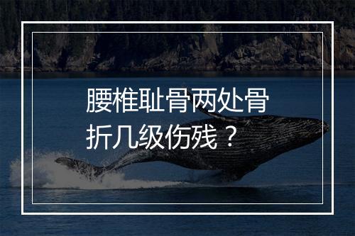 腰椎耻骨两处骨折几级伤残？