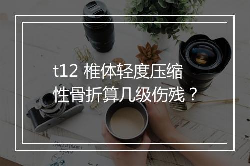 t12 椎体轻度压缩性骨折算几级伤残？