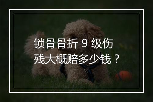 锁骨骨折 9 级伤残大概赔多少钱？