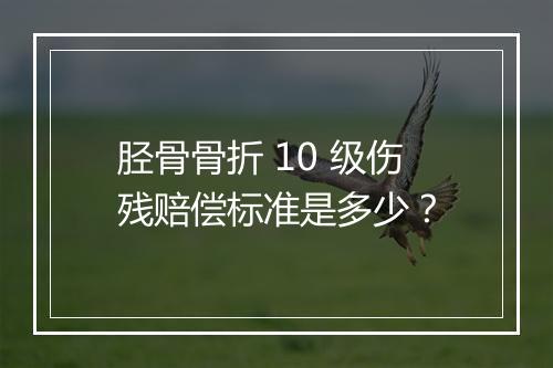胫骨骨折 10 级伤残赔偿标准是多少？