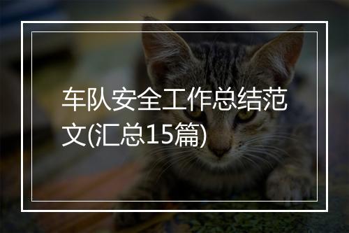车队安全工作总结范文(汇总15篇)