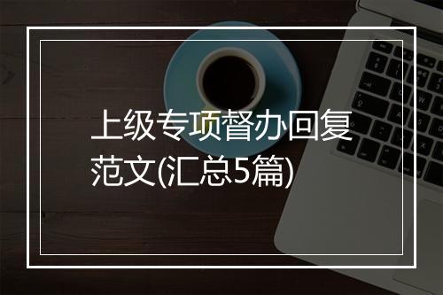 上级专项督办回复范文(汇总5篇)
