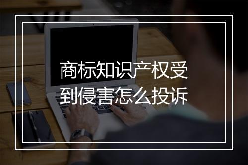 商标知识产权受到侵害怎么投诉