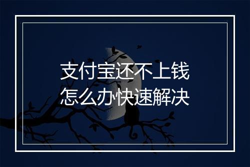 支付宝还不上钱怎么办快速解决