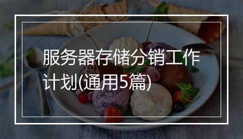 服务器存储分销工作计划(通用5篇)
