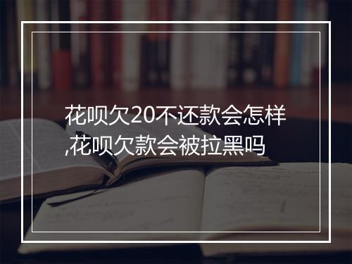 花呗欠20不还款会怎样,花呗欠款会被拉黑吗