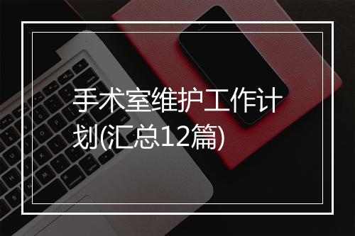 手术室维护工作计划(汇总12篇)