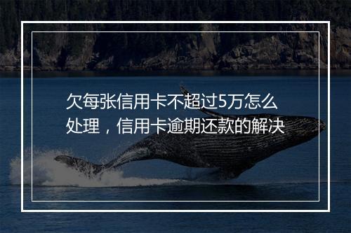 欠每张信用卡不超过5万怎么处理，信用卡逾期还款的解决