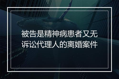 被告是精神病患者又无诉讼代理人的离婚案件