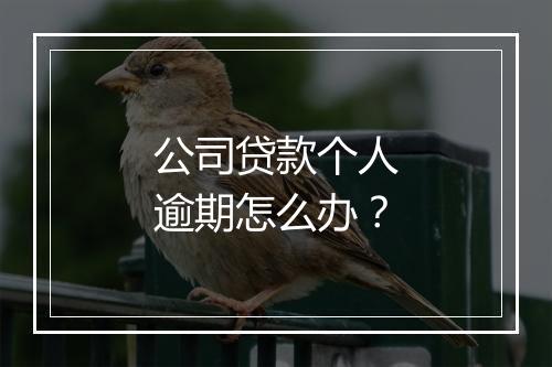 公司贷款个人逾期怎么办？