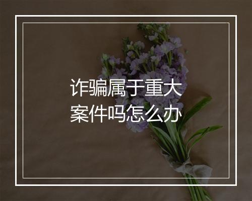 诈骗属于重大案件吗怎么办