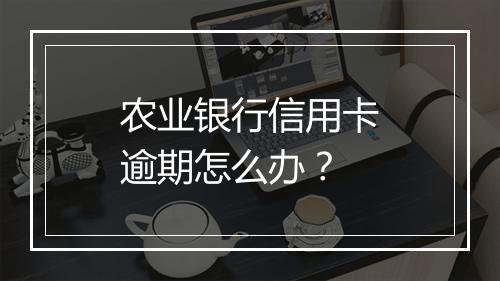 农业银行信用卡逾期怎么办？
