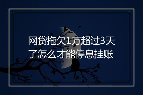 网贷拖欠1万超过3天了怎么才能停息挂账