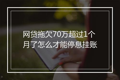网贷拖欠70万超过1个月了怎么才能停息挂账