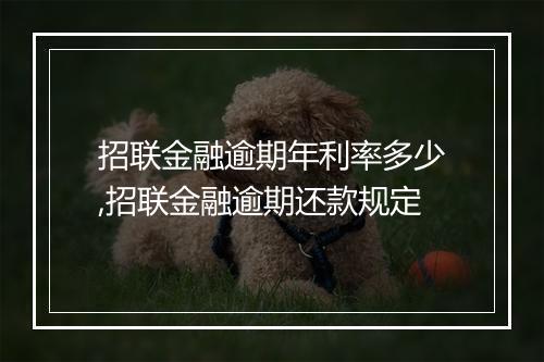招联金融逾期年利率多少,招联金融逾期还款规定