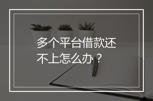 多个平台借款还不上怎么办？
