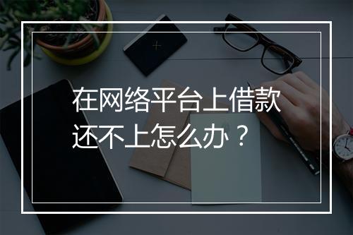在网络平台上借款还不上怎么办？