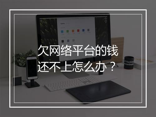 欠网络平台的钱还不上怎么办？