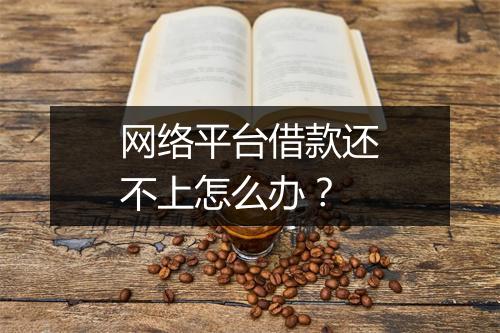 网络平台借款还不上怎么办？