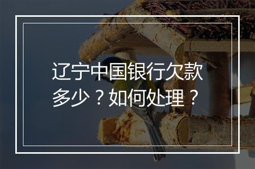 辽宁中国银行欠款多少？如何处理？