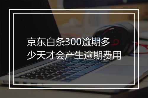 京东白条300逾期多少天才会产生逾期费用